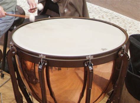 Timpani | Princeton Symphony Orchestra