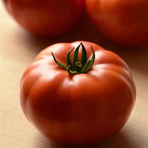 Heirloom Marriage Genuwine Tomato Plant | Plant Addicts