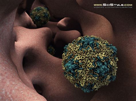 Echovirus on Behance