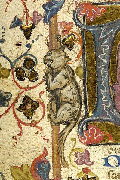 tribe  tiger medieval art medieval books medieval manuscript