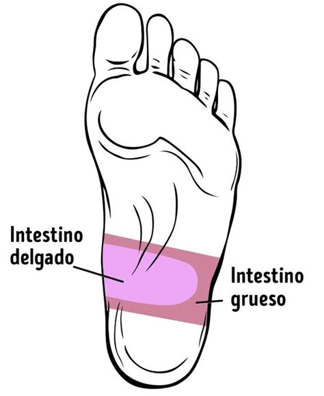 21 Puntos en los pies que mejoran tu salud | Masaje de pies ...