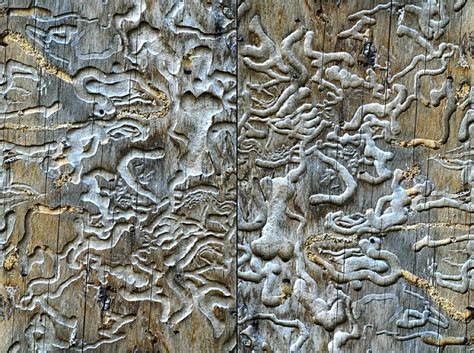 Оптическая иллюзия. / Optical illusion. | Изображение развёр… | Flickr ...