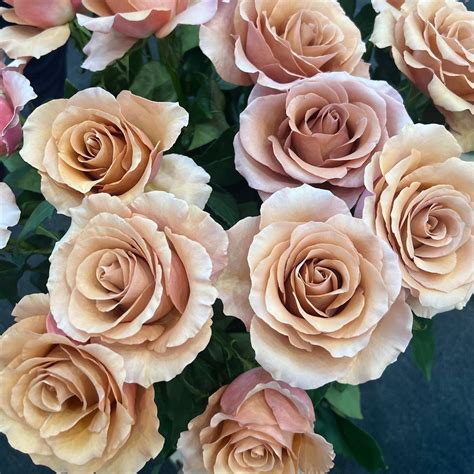 Dusty Terracotta Moab Roses | DIY Wedding Flowers | Flower Moxie