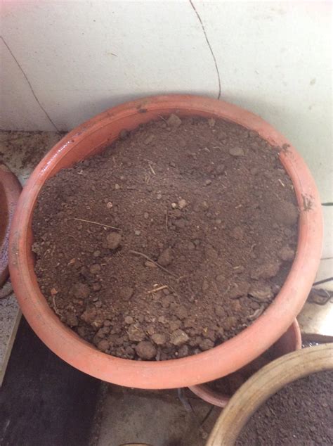 Organic Soil, Furniture & Home Living, Gardening, Garden Soil ...