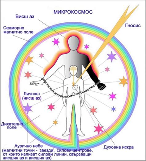 Човекът - един микрокосмос