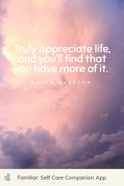 123+ Appreciate Life Quotes - Familiar