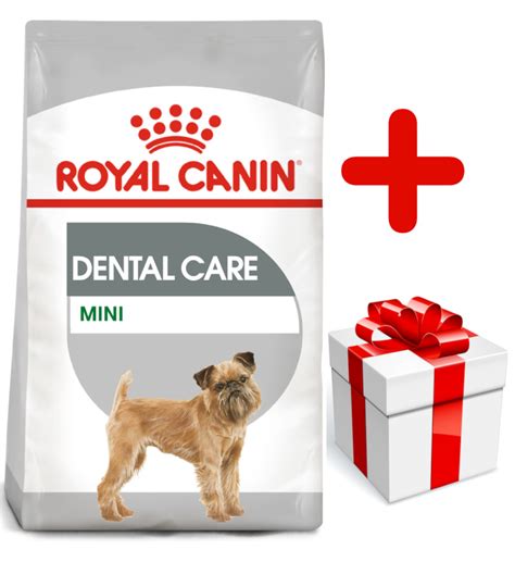 ROYAL CANIN CCN Mini Dental Care 8kg + niespodzianka dla psa GRATIS ...