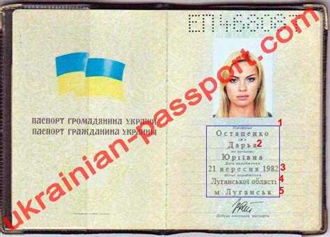 Darya Ostapenko – Ukrainian background check