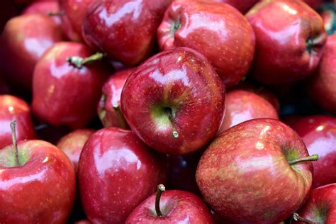 Как правильно собирать яблоки - Agrotrend.ru