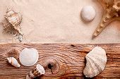 picture summer texture conch sea shells wooden planks
