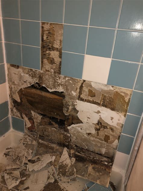 Annixpress Leaks: The Damage Is Done, But Can It Be Fixed? Image 16