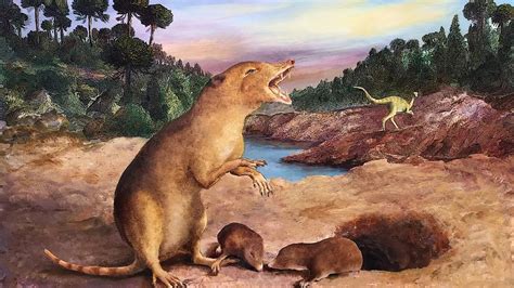 primer mamífero: Descubren cuál fue el primer mamífero: un ratón de ...