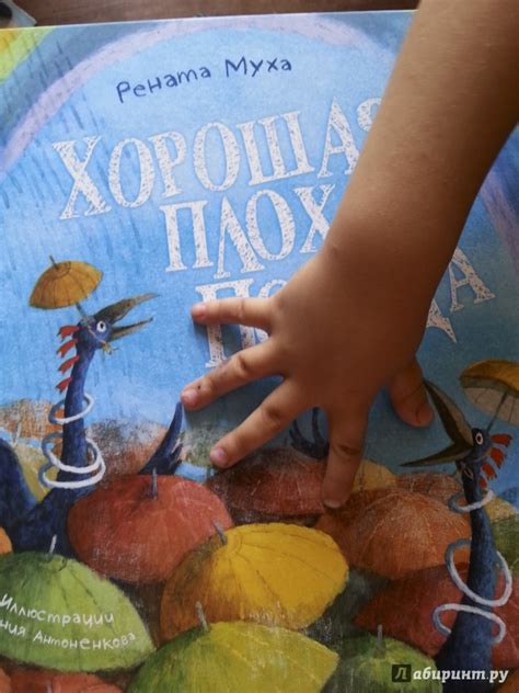 Книга: Хорошая плохая погода - Рената Муха. Купить книгу, читать ...
