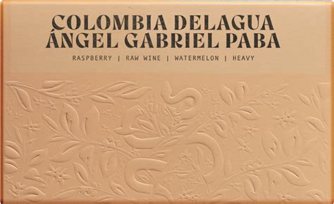 Colombia Delagua Ángel Gabriel Paba Natural | Onyx Coffee Lab