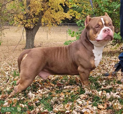 New online tools will soon simplify searching through Plattsburgh obits 21