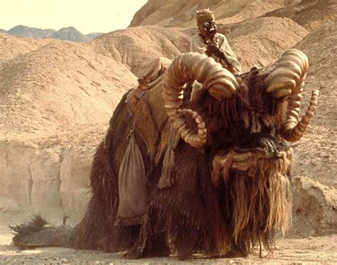 Bantha | Wookieepedia | Fandom