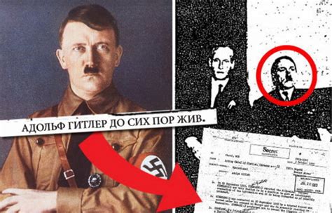 Адольф Гитлер «до сих пор жив»: Рассекречены архивы ЦРУ