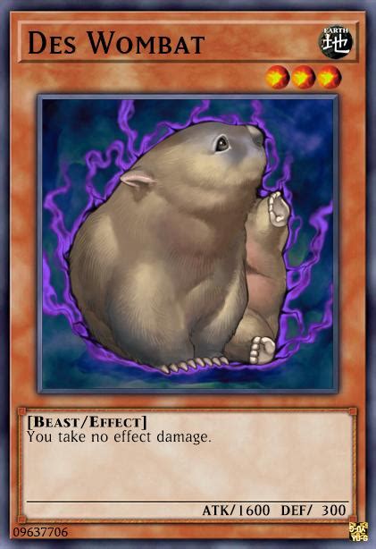 Yu-Gi-Oh! Wiki - Des Wombat