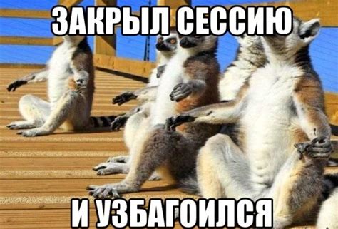 Узбагойся — Библиотека мемов
