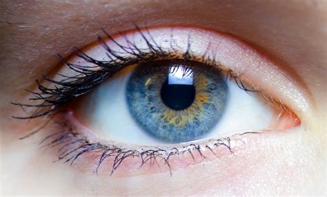 Ojo; Ojos