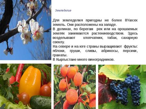Республика Кыргызстан