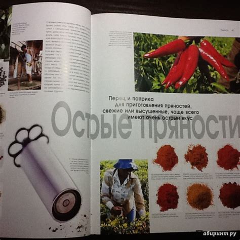 Книга: Кулинария. Весь мир продуктов питания - Кристиан Тойбнер. Купить ...