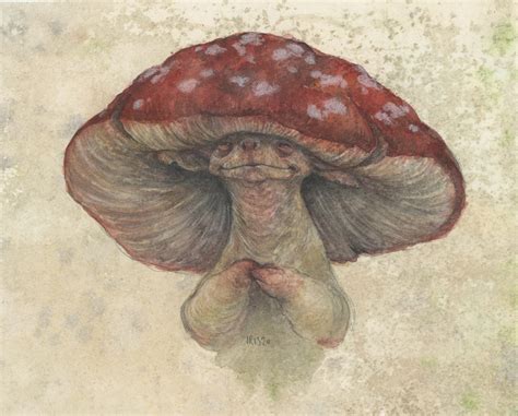 Amanita - Every Day Original