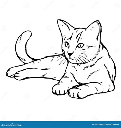 Нарисованная рука котенка кота Иллюстрация вектора - иллюстрации ...