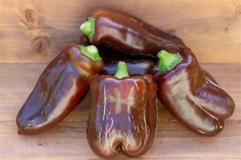 СЛАДКИЙ ШОКОЛАД — BTomate