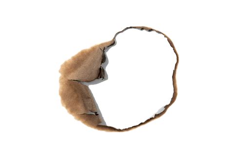 Fashionable Hair Accessory Headband Enhancer PNG | PNG All