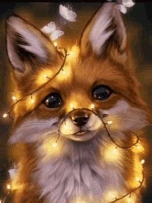 Cute Fox GIF - Cute Fox Lights - Discover & Share GIFs