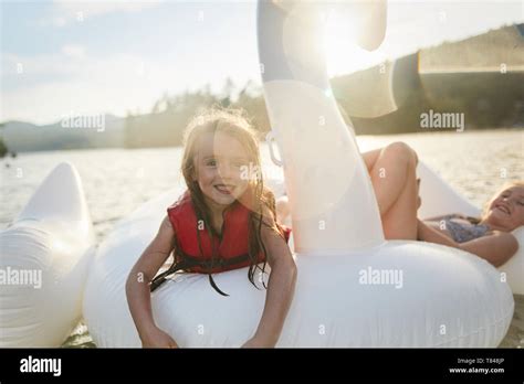 inflatable swan  res stock photography  images alamy