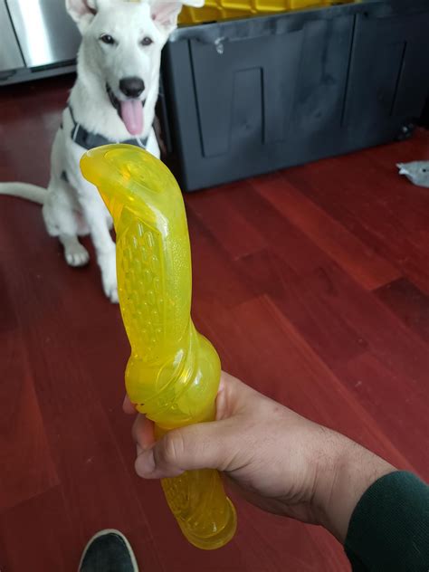 New "dog toy" looks like a repurposed double-sided horse dildo : r
