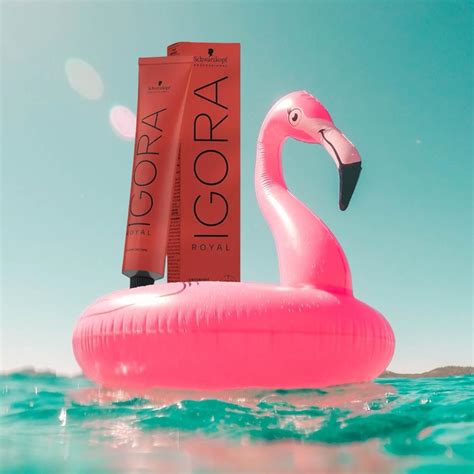 igora royal
