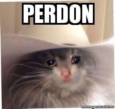 Meme Personalizado - perdon - 31295424