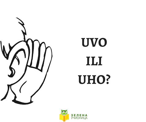 Уво или ухо? | Зелена учионица