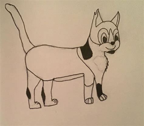 Cat vector illustrations to be animated on Behance