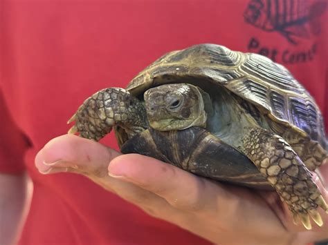 Aqua-Rama Pet Center | Fayetteville NC