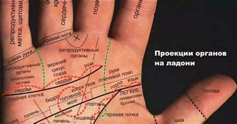 Линия Брака На Ладони Значение Фото — Mixyfotos.ru
