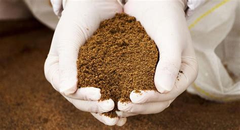 benefits  steam dried fish meal  animal feed  high protein