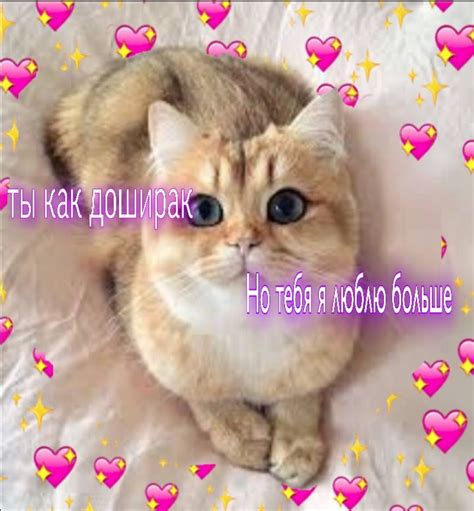 Милые пикчи | Cute love memes, Love memes, Cute love
