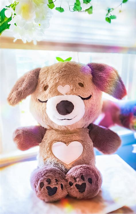 Chai the Soothing Pup Plush – StrawBunnyCake
