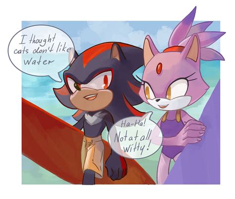 Blaze and Shadow | Sonic the Hedgehog | Know Your Meme