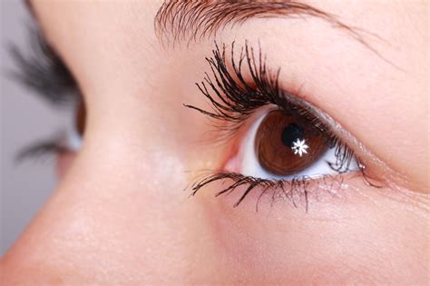 closeup eye  stock photo public domain pictures