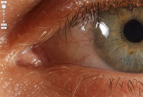 Insane high res face reference pictures — polycount