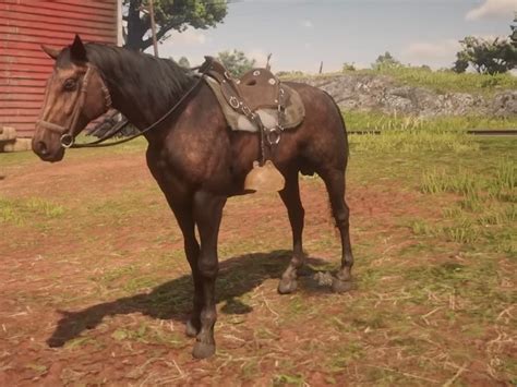 Лошади в Red Dead Redemption 2 — какая лучшая, где поймать, где купить ...