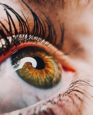Vision scientists revive light-sensing cells in eyes of dead people ...