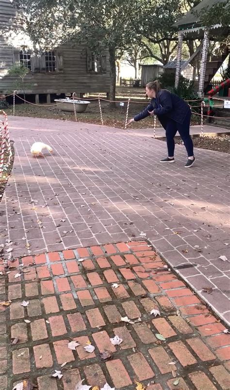 PhotoBlog: Behind the scenes of a KLFY Roadshow