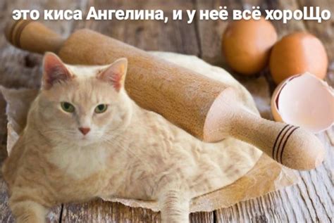 Пин от пользователя Просто усталый, Одинокий пельм на доске Смешные ...