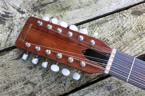 Eikosha guitars